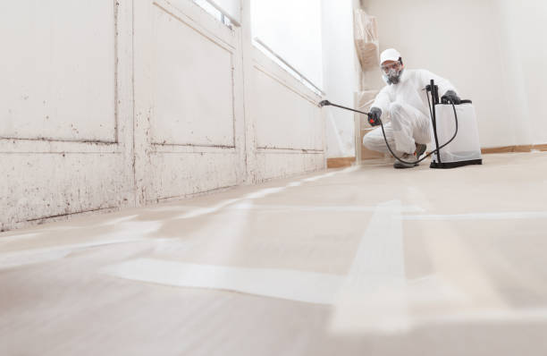 24/7 Emergency Mold Testing experts in Winburne, PA
